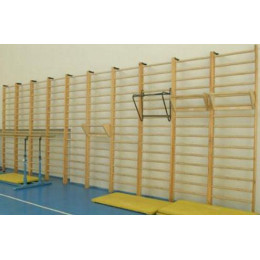 Стенка 3,0x0,8м (гимнастическая, шведская)